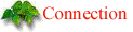 CONNECTION Page